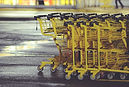 Shopping Carts