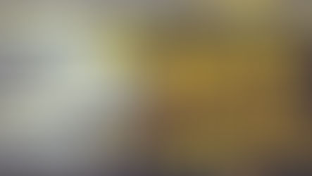 Huber v. Wal-Mart Stores, Inc. (2007) 