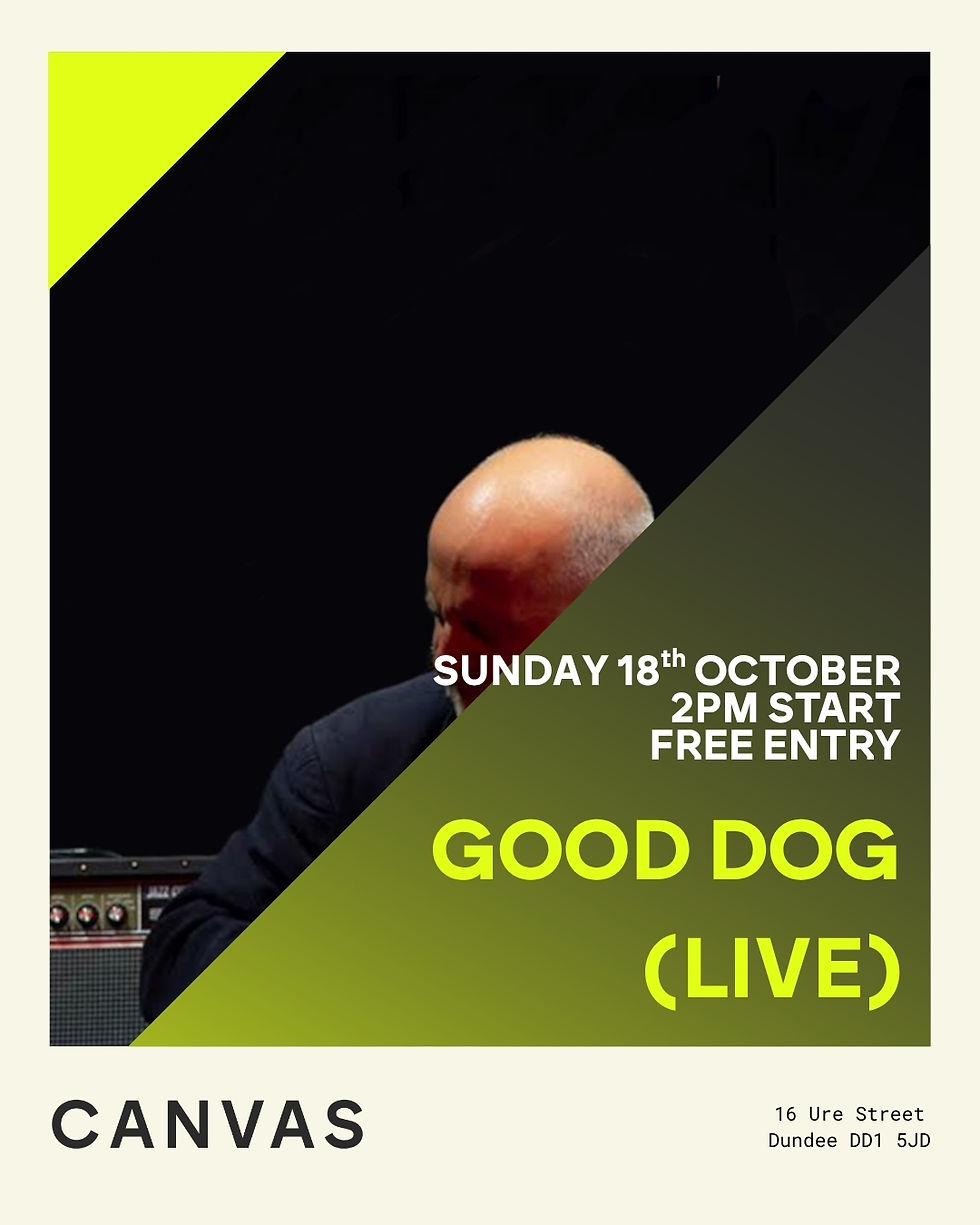 Good Dog (LIVE)