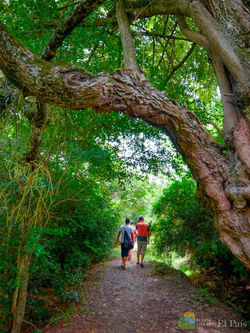 37347230_10209592688654268_6783684480759