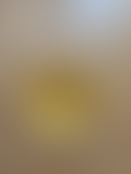 Diary of a dominatrix part 1