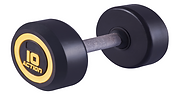 DUMBELL MONOBLOCO - INOX.png