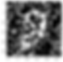 mnist image with random noise