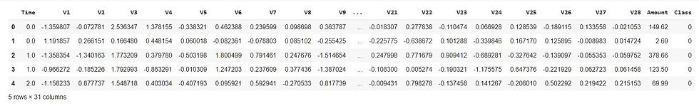 First 5 rows of the dataframe
