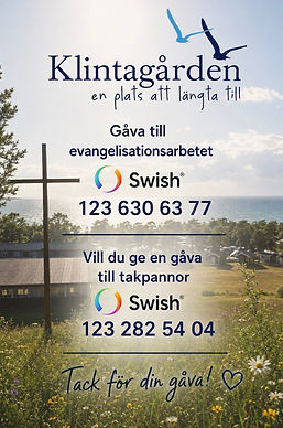 gåva till gården.jpg