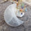 Thumbnail: Selenite Crescent Moon