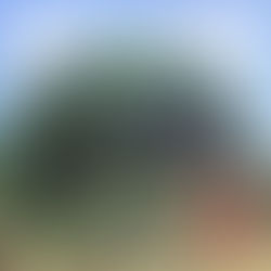 Vecinos psicodélicos (2020) - Duck Fizz