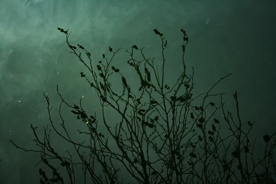 Milena Kancheva Photography - OBTENEBRO Series -  REFLECTION