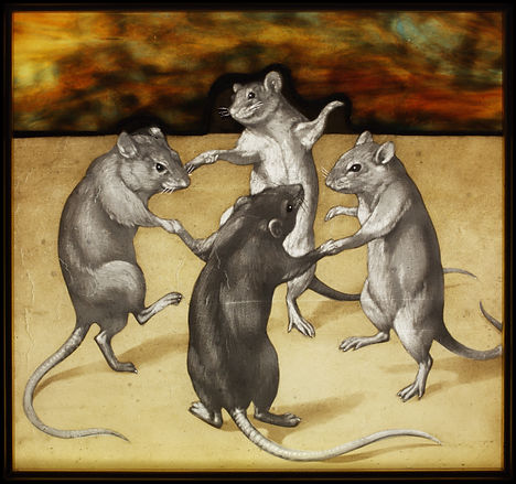 rats all done again.jpg