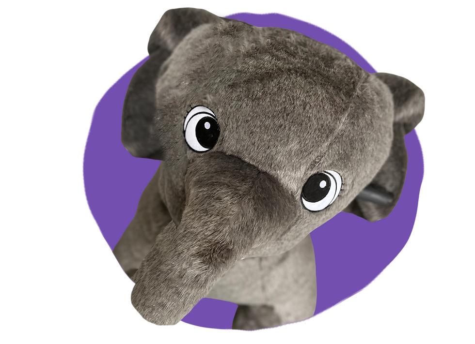 Elefant von den Fellwolken