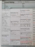 virtuele stamboom Polly x Feltis_edited