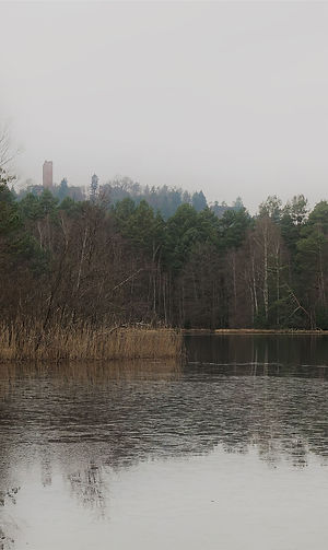 Rochers, tourbières et châteaux du Pays de Bitche