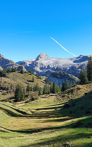 La forêt de Bödmeren