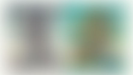 Career Jungle Gym vs. Traditional Career Ladder: A Fresh Perspective on Professional Success