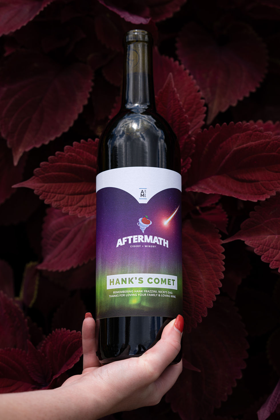 Hanks comet wine bottle being held in front of burgundy leaves