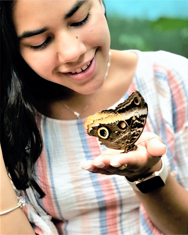 Mariposario en GDL.png