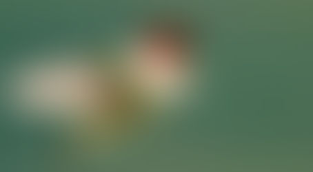 The Hummingbird Encounter