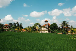 Ubud / Uluwatu, Bali