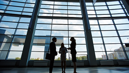 Business Professionals