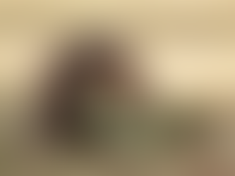 A happy miniature longhair dachshund puppy in a loving home