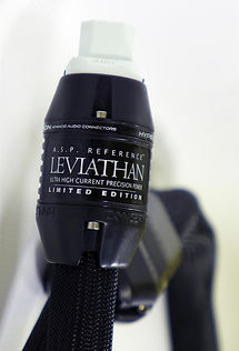 Leviathan Cable