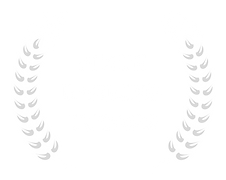 BEST HSC TUTORING PARRAMATTA (2).png