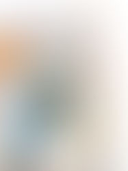 Our Bee-utiful Stamp Flies onto The Magazine Stand