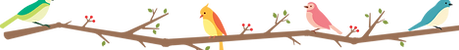 144268.png