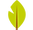 483207.png
