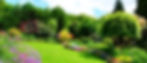 AdobeStock_195501685_edited.jpg