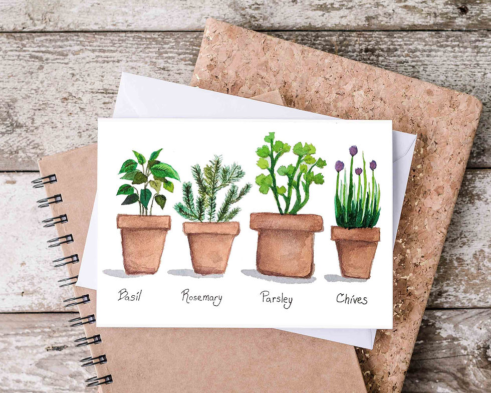 Thumbnail: Herbs in Pots blank note cards