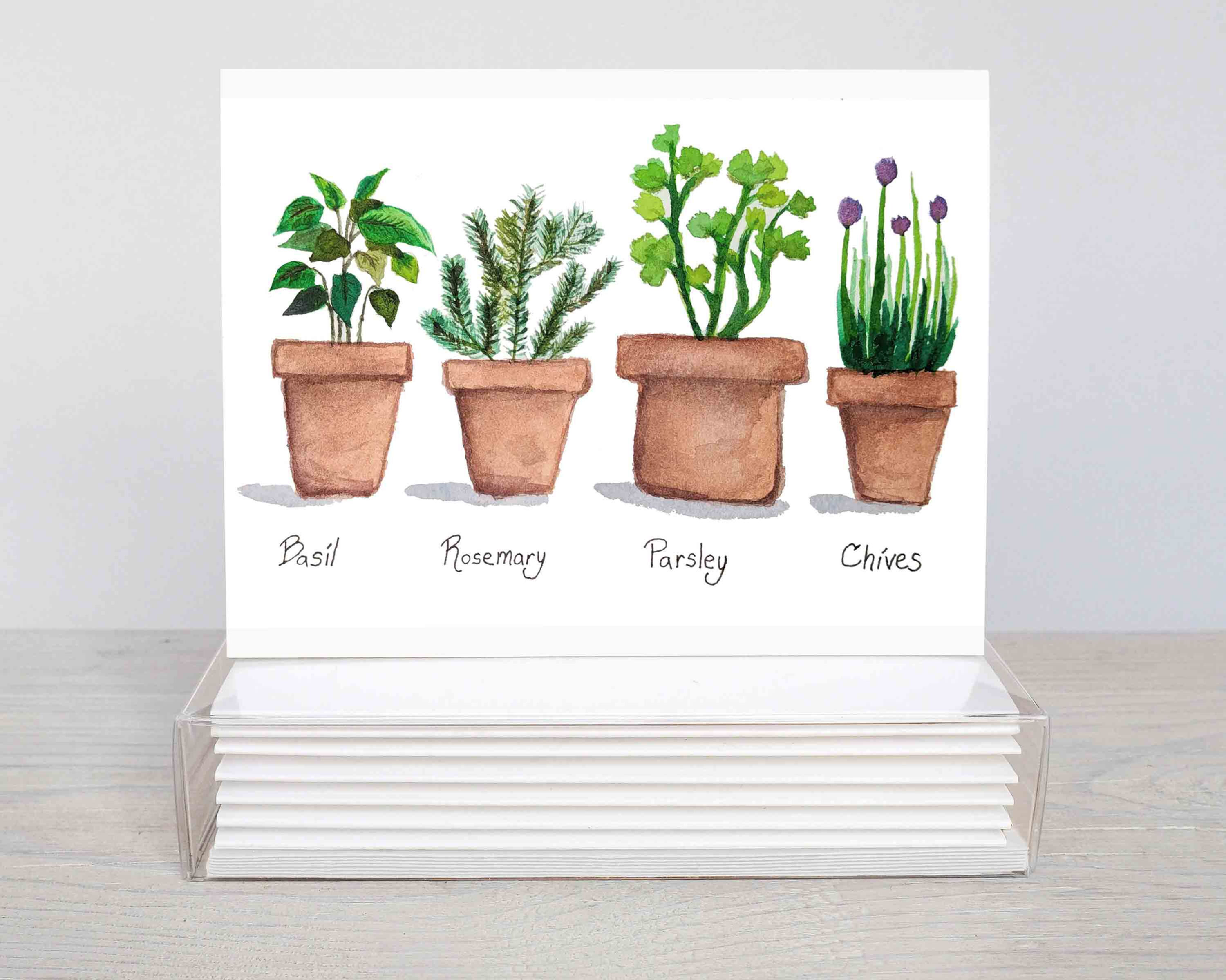 Herbs in Pots blank note cards
