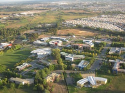 33720073.jpg