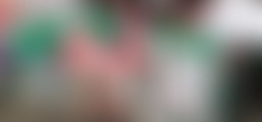 A Gift Under Every Tree