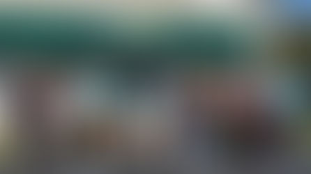 Celebrating 14 Years