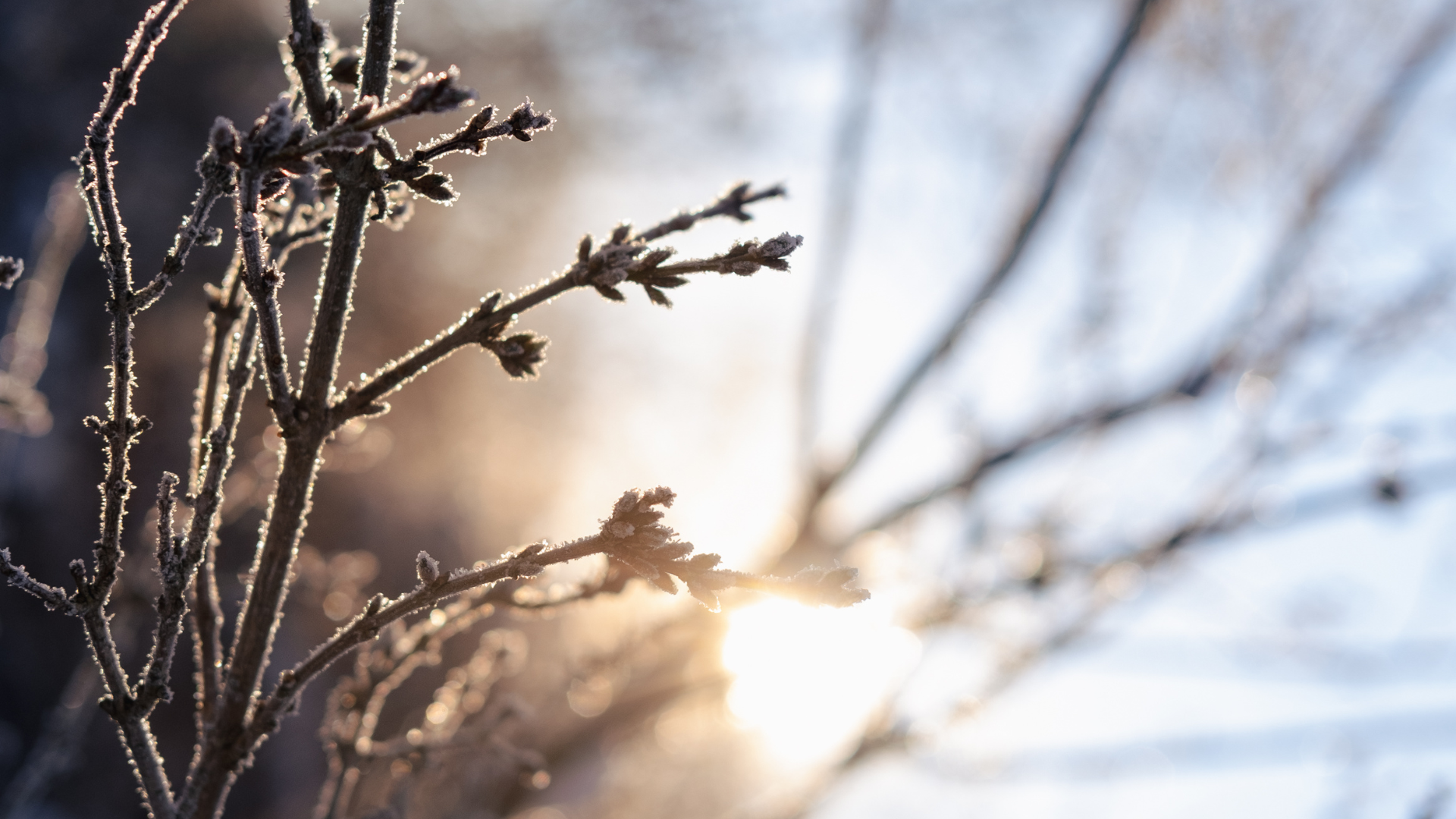 Transformational Tuesday | April 28