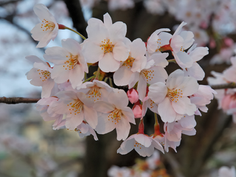 合格できる生徒に共通する特徴