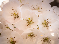 3月のまとめの時事問題対策