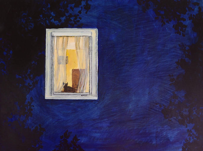 Dusk, Cat, window