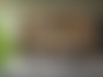 Key Design Elements That Define Authentic Italian Home Furniture Collections