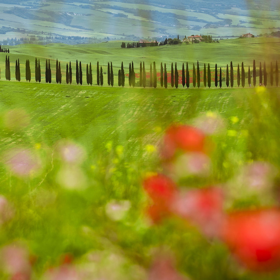TUSCANY:VAL D'ORCIA 19