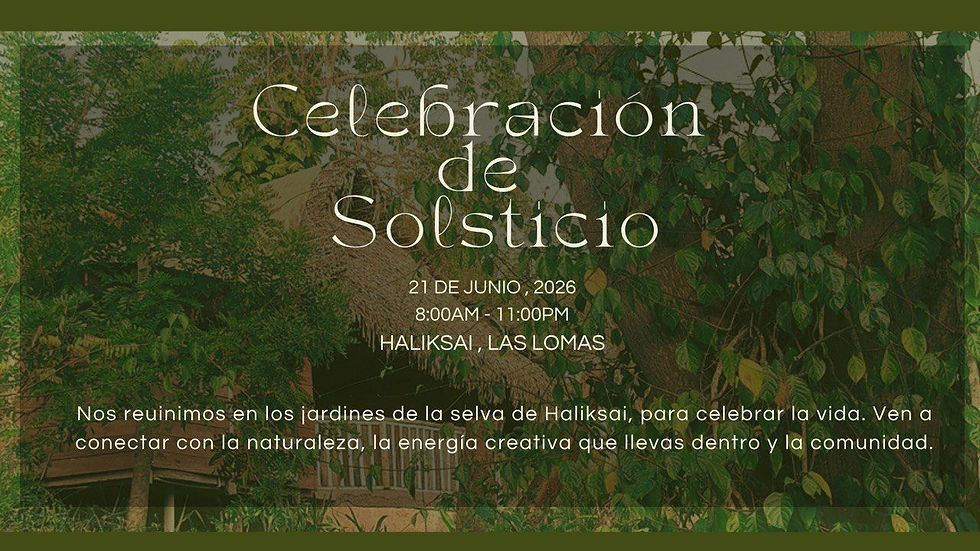 Solsticio banner.jpeg