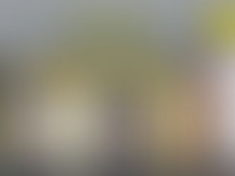 BORDER TILES | POSTER TILES | RANGOLI TILES | GOLDEN HILITER | STEP & RISER| G.V.T GLOSSY POSTER