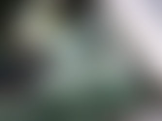 Worried about holiday season break-ins?