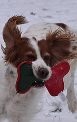 5-Blanca_5991.jpg