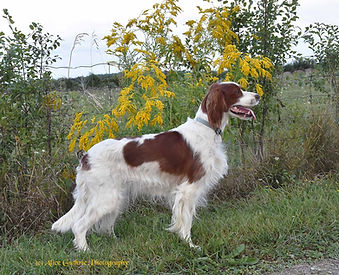 1-Nella_2690.jpg