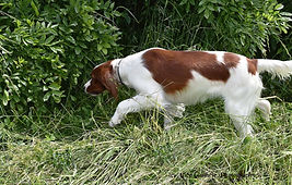 1-Tara_0916.jpg