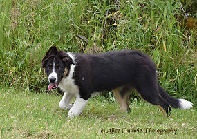 2-Patty_1329.jpg