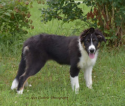 2-Patty_1343.jpg