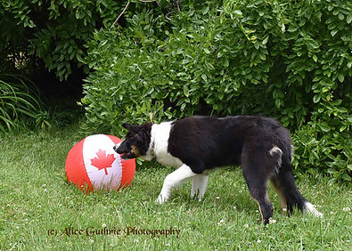 2-Patty_1308.jpg